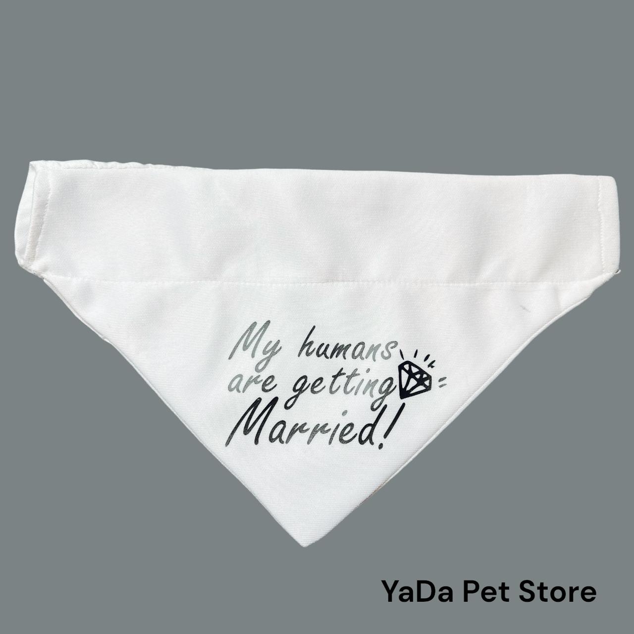 Bandana para Perro ó Gato - Anuncio de boda matrimonio