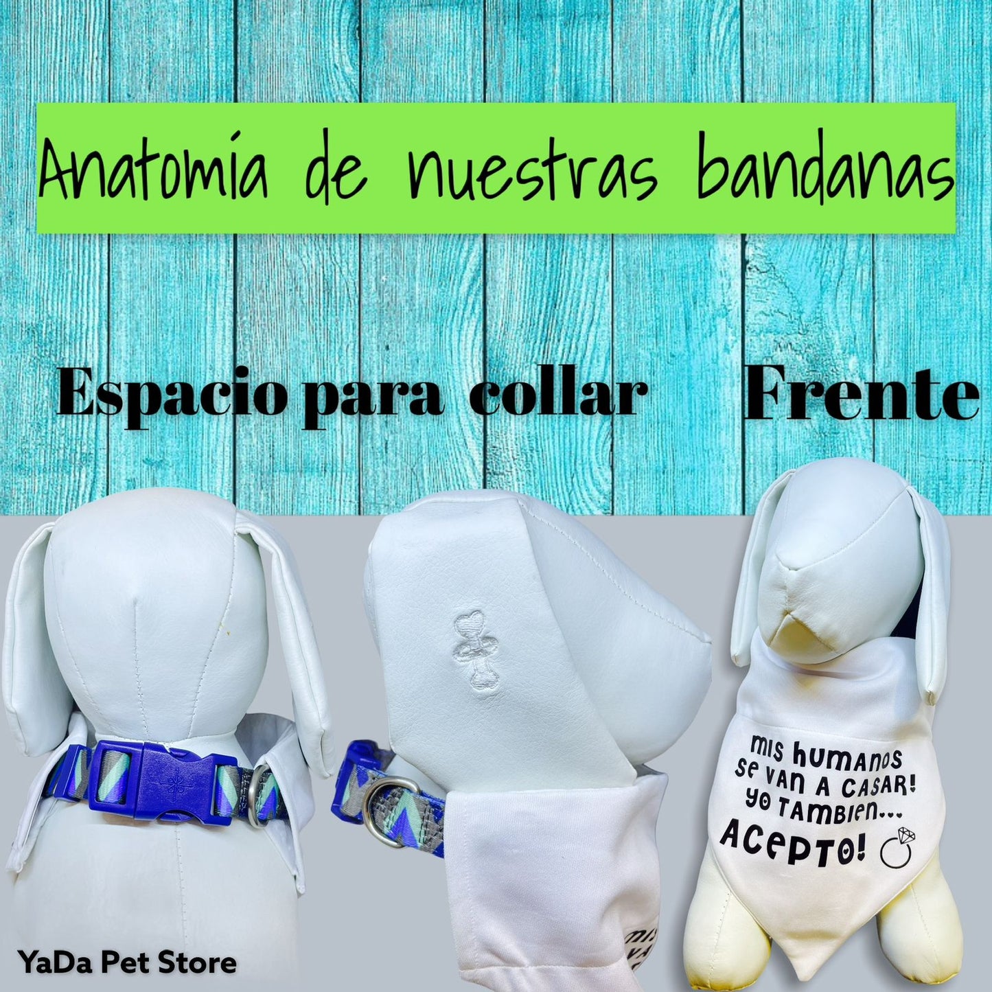 Bandana para Perro ó Gato - Anuncio de boda matrimonio