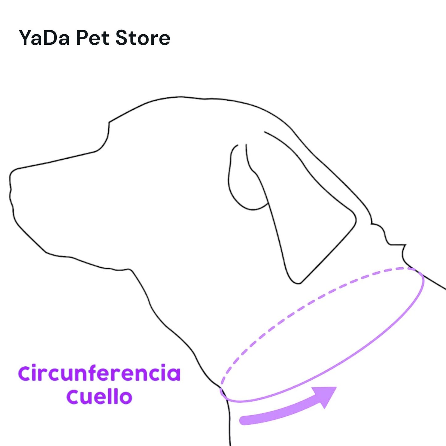 Bandana para Perro ó Gato - Anuncio de boda matrimonio