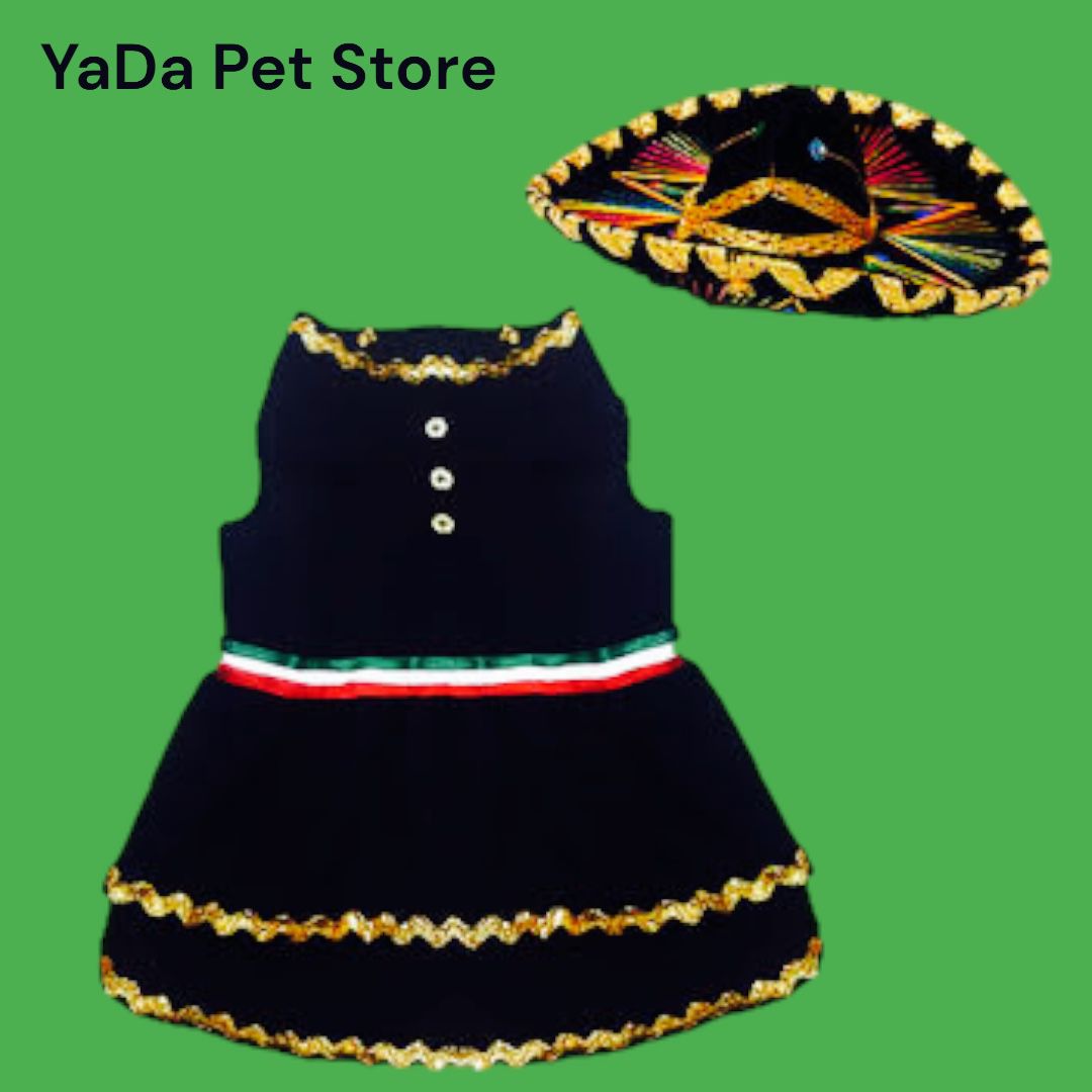 Vestido de charro mexicano para mascota