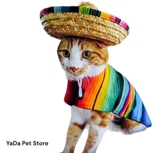 Sombrero mexicano para mascota