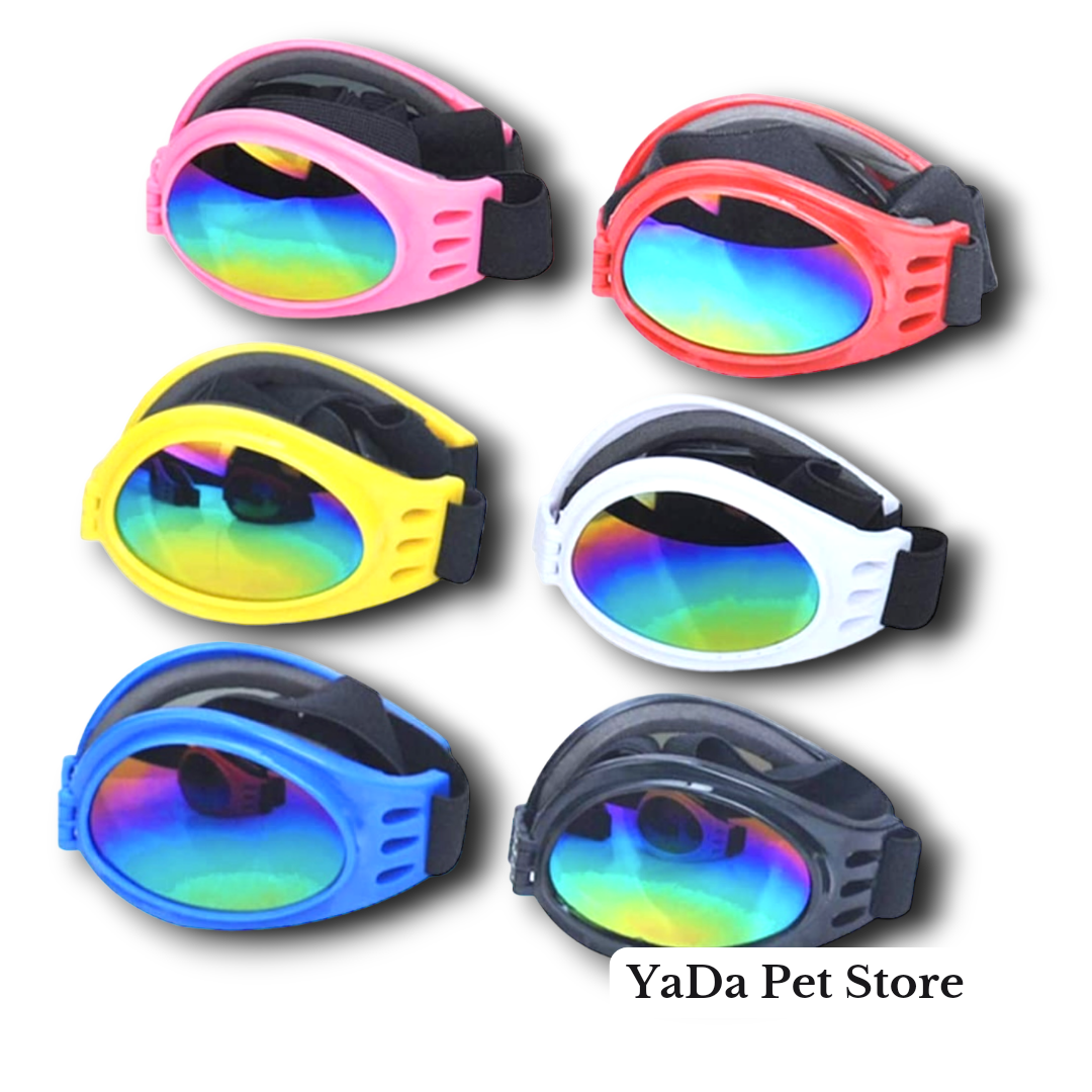 Lentes Goggles para Perro