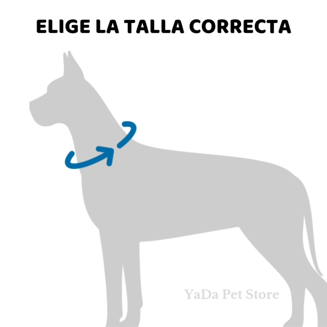 Collar Personalizado para Perro ó Gato