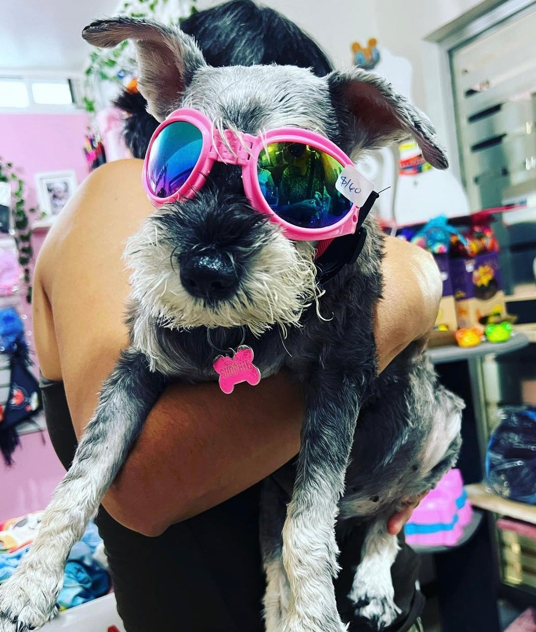 Lentes Goggles para Perro