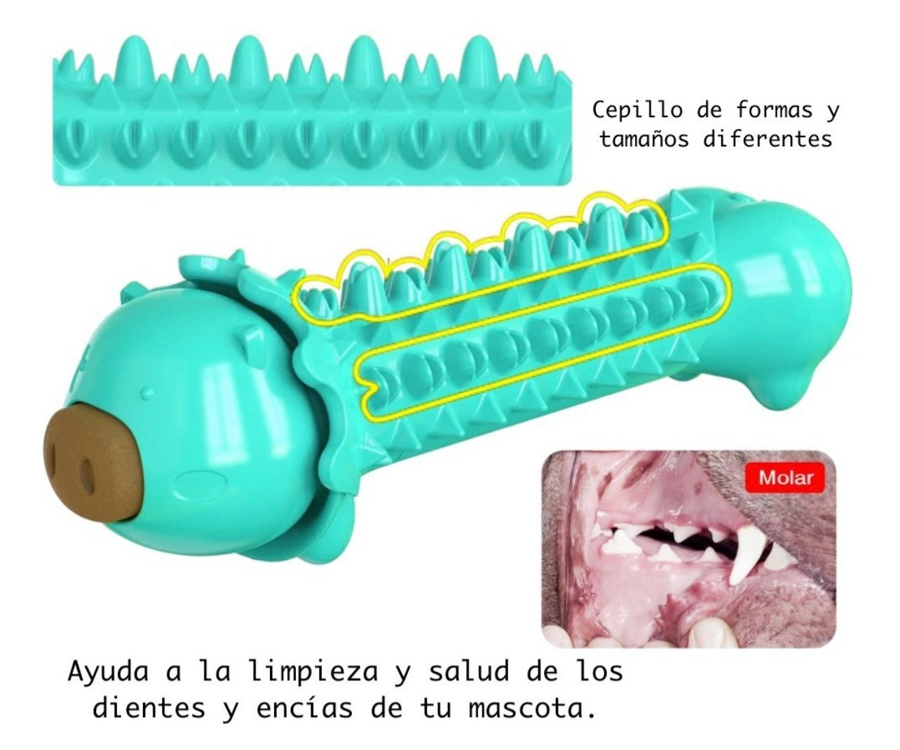 Juguete Limpiador Dental para Perro